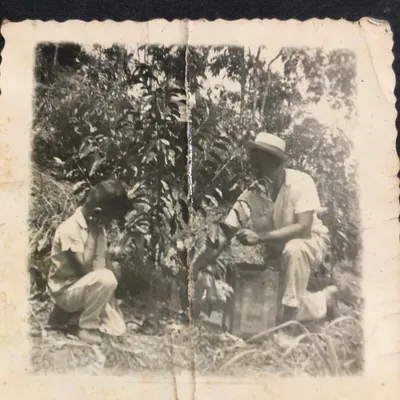 Una taza de café caliente DOMAC servida en la finca